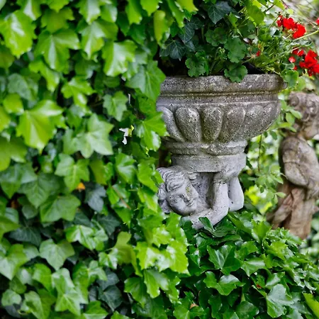 Отель Stenitzer